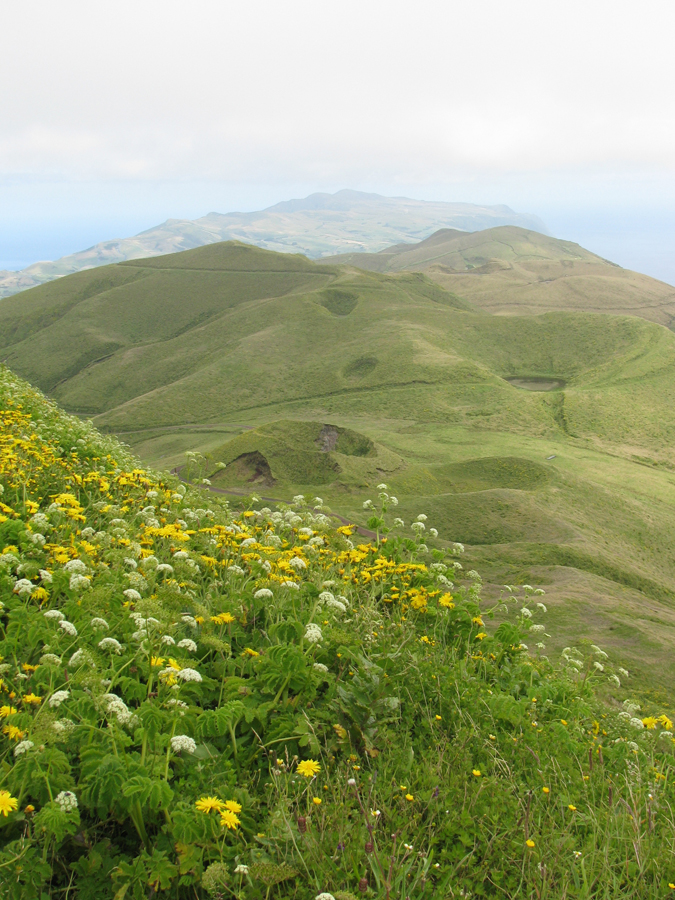 Cordilheira Vulcânica Central