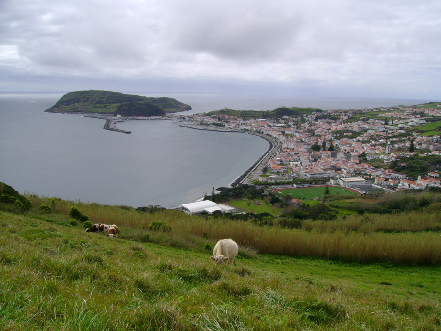 Monte da Guia e Porto Pim