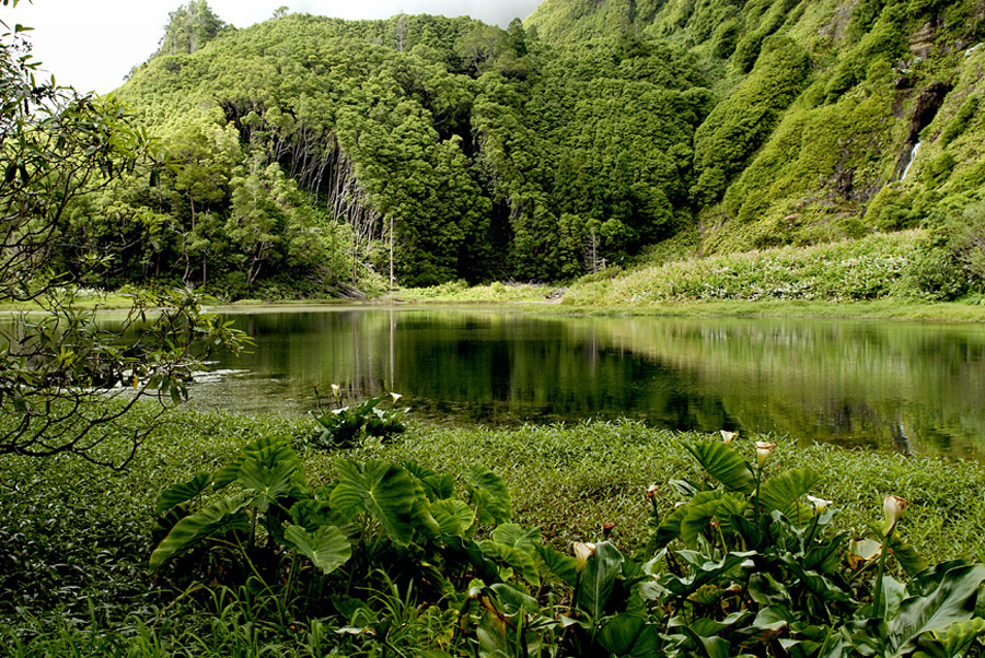 Fajã Grande e Fajãzinha