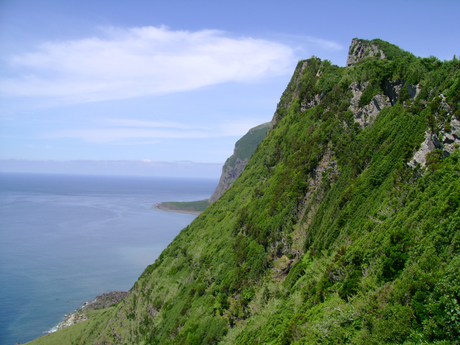 Ponta da Rocha Alta e Fajã de Lopo Vaz