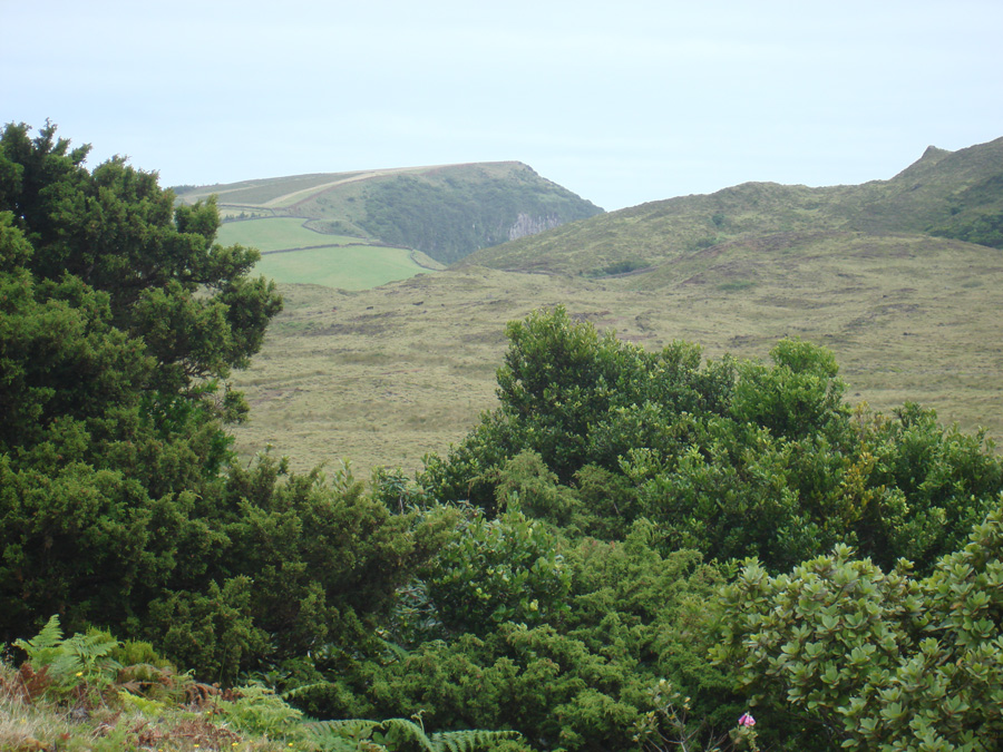 Pico Alto, Biscoito Rachado e Biscoito da Ferraria