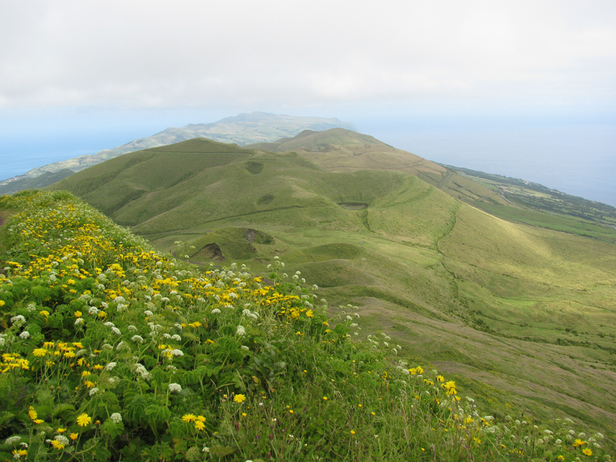 Cordilheira Vulcânica Central