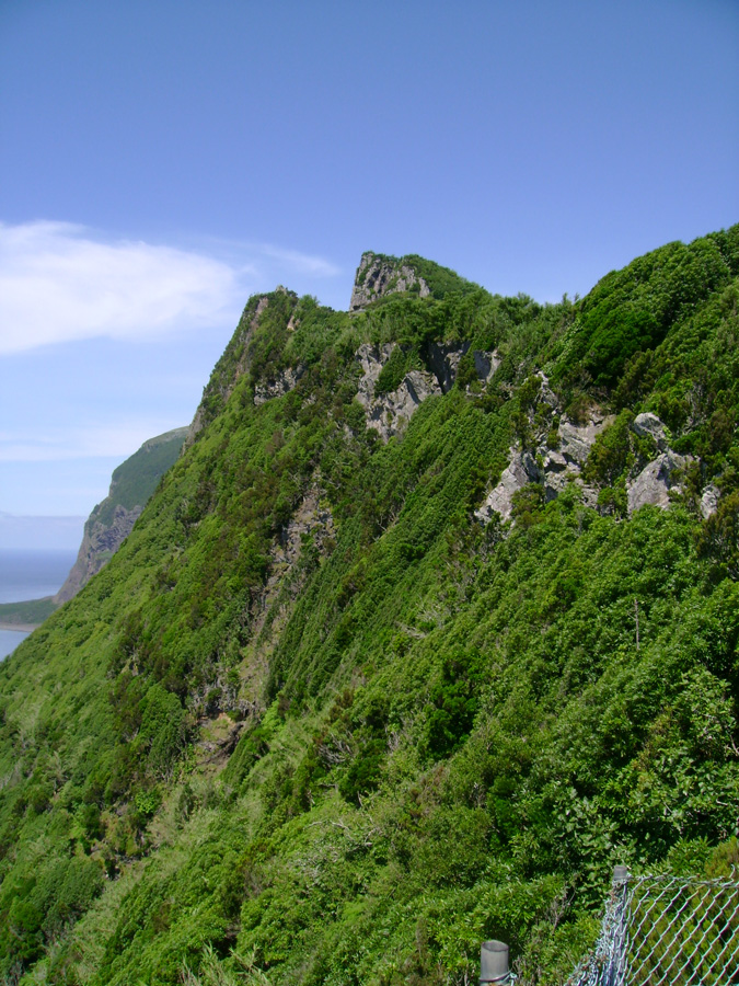 Ponta da Rocha Alta e Fajã de Lopo Vaz