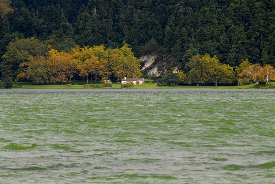 Caldeira do Vulcão das Furnas