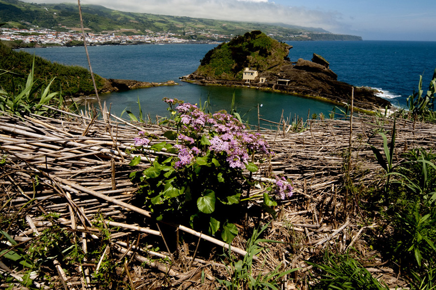 Ilhéu de Vila Franca