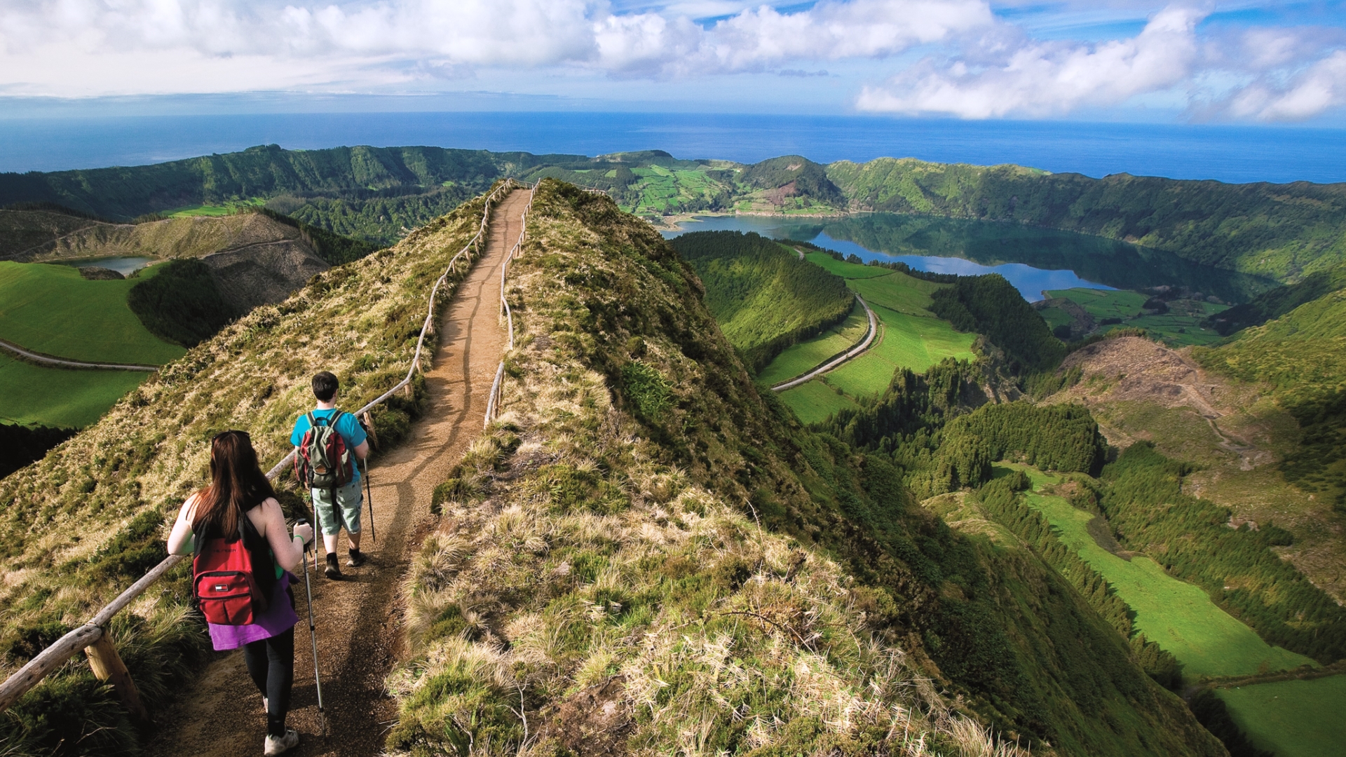 Programas Educativos
