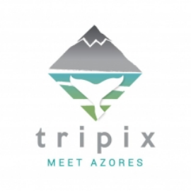 Tripix
